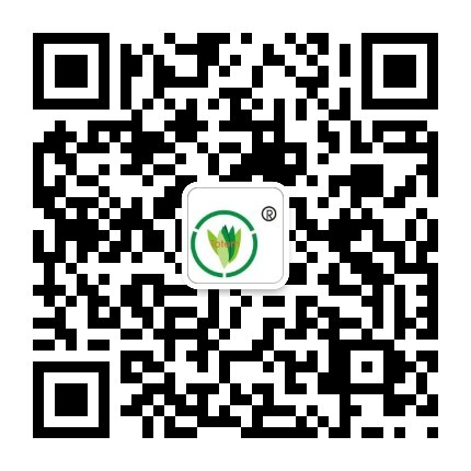 &#26143;&#31354;&#97;&#112;&#112;&#30331;&#24405;&#20837;&#21475;&#45;&#26143;&#31354;&#40;&#20013;&#22269;&#41;
