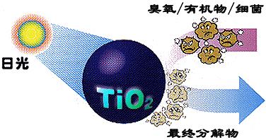 &#26143;&#31354;&#97;&#112;&#112;&#30331;&#24405;&#20837;&#21475;&#45;&#26143;&#31354;&#40;&#20013;&#22269;&#41;